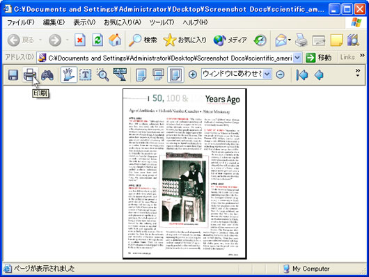 Internet ExplorerでDjVuファイルを開き､DjVuブラウザプラグインのツールバーにある「印刷」ボタンをクリックします｡
