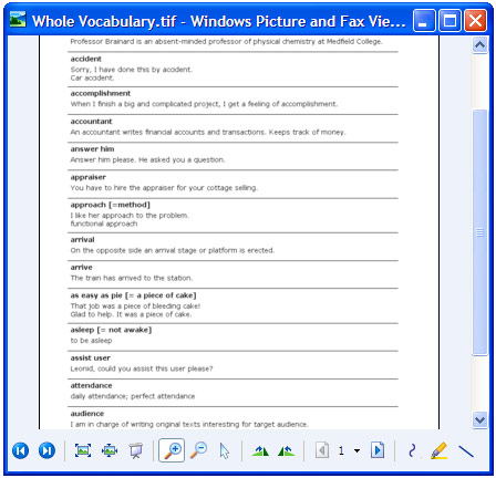 Windows画像とFAXビューアで開かれた変換レポート。