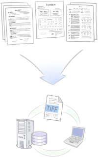 Corporate Workflow System